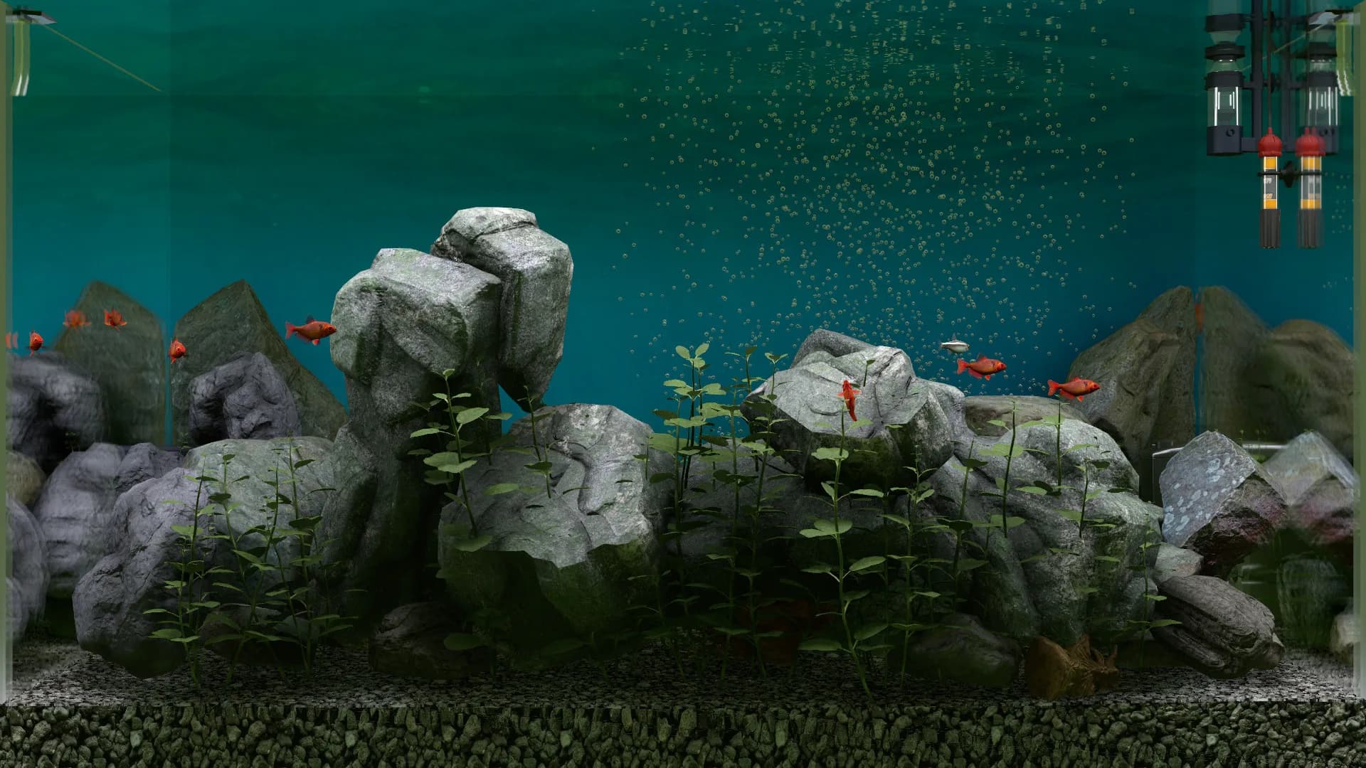 Biotope görsel 7