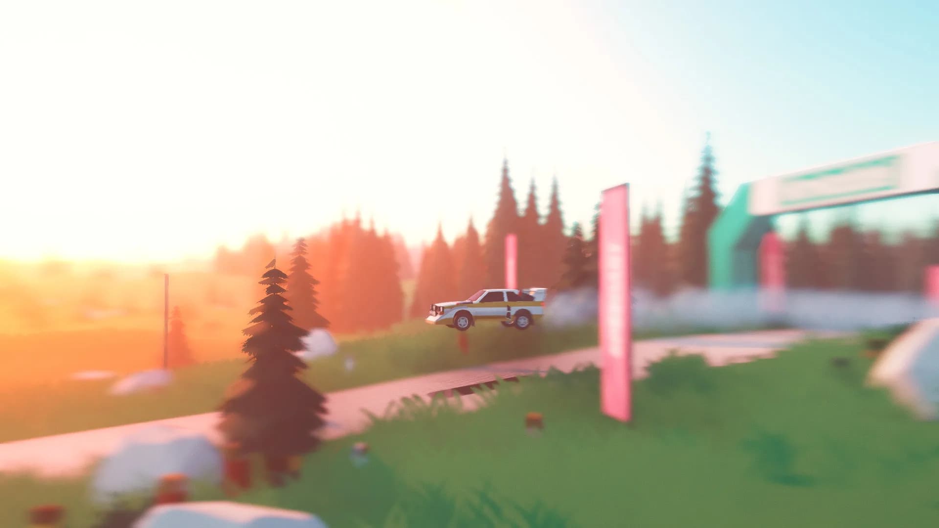 art of rally görsel 3