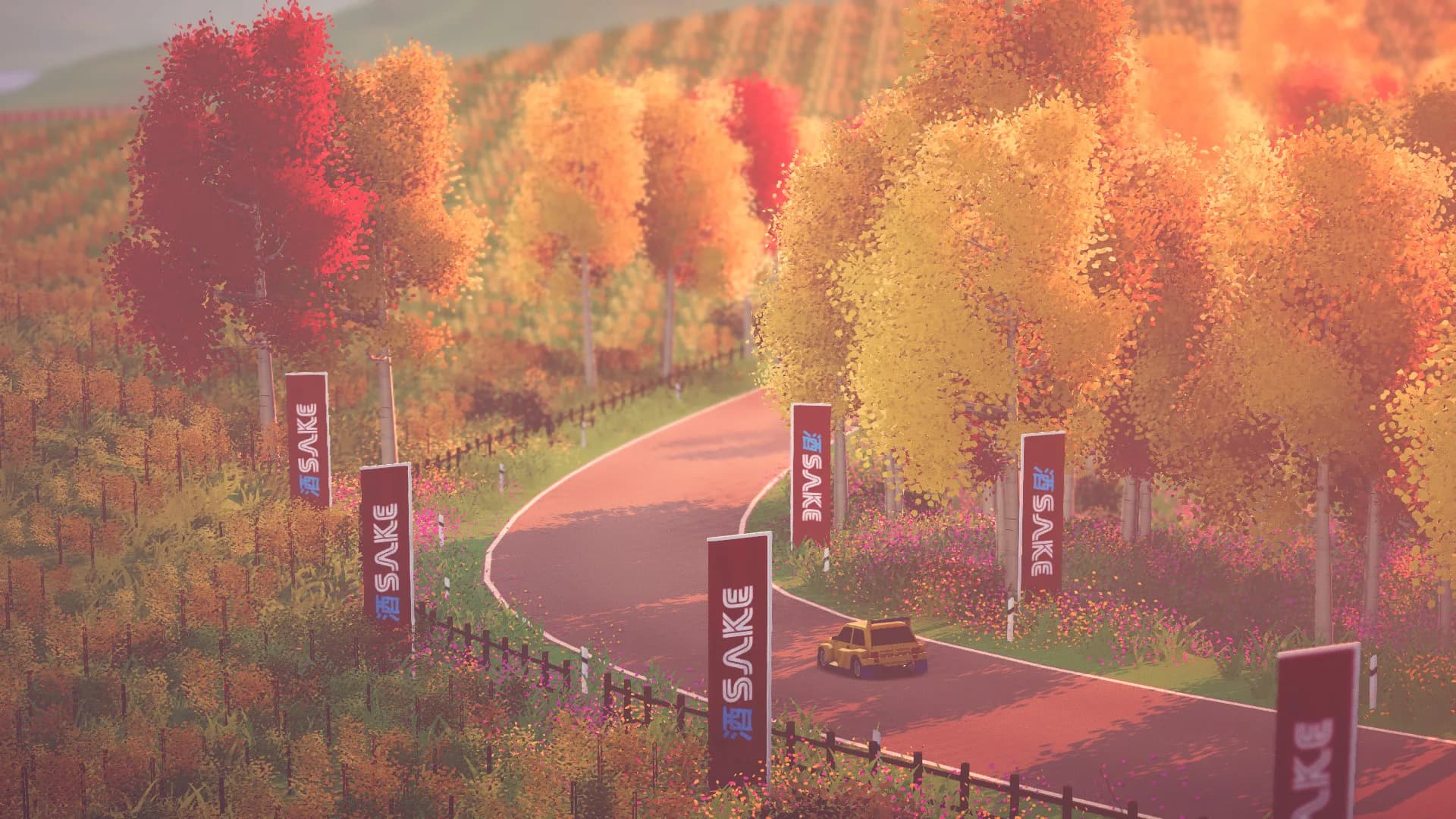 art of rally görsel 11