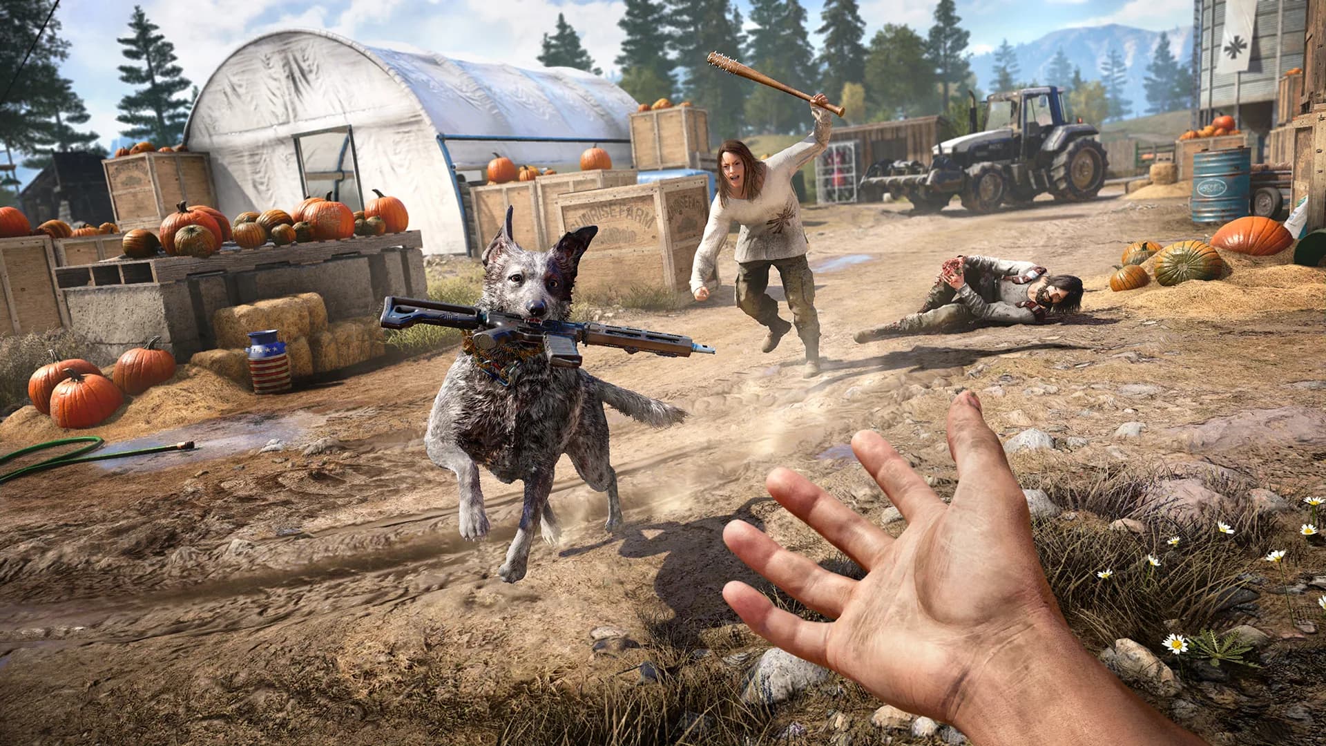 Far Cry® 5 görsel 5
