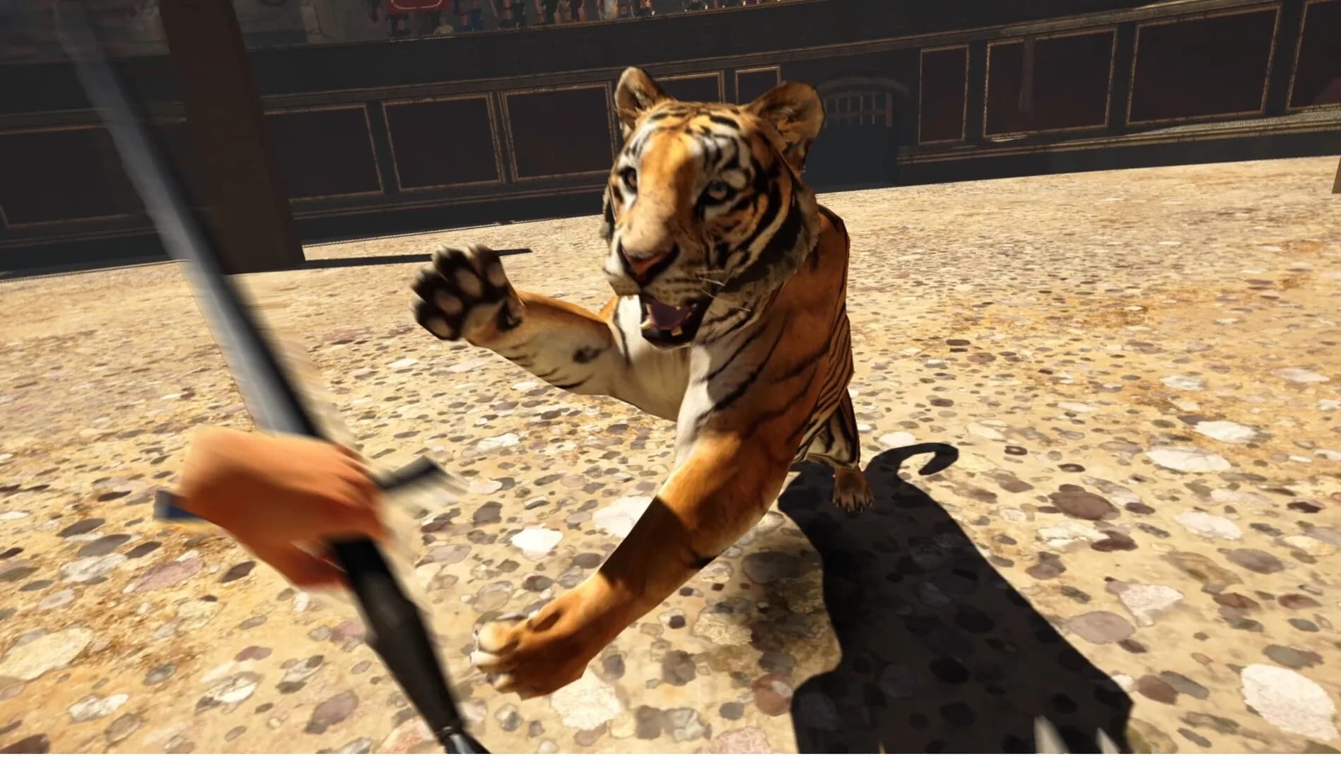 Gladius | Gladiator VR Sword fighting görsel 3