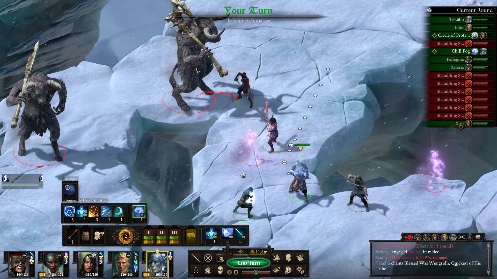 Pillars of Eternity II: Deadfire görsel 16