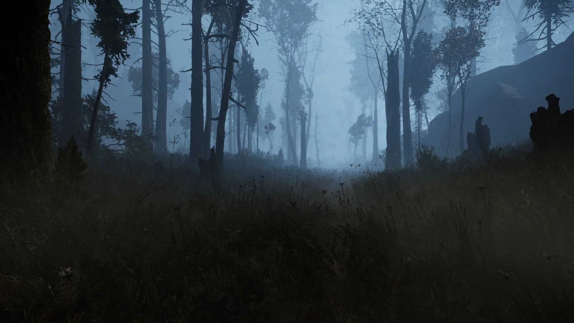 The Land of Pain görsel 7