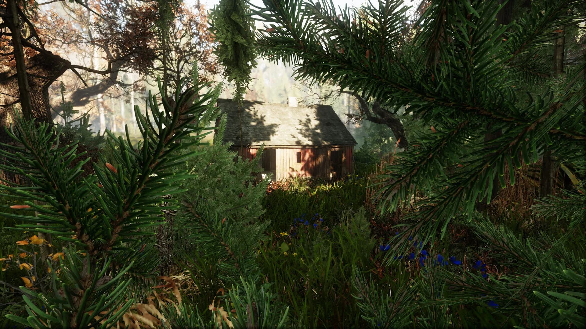 The Land of Pain görsel 11