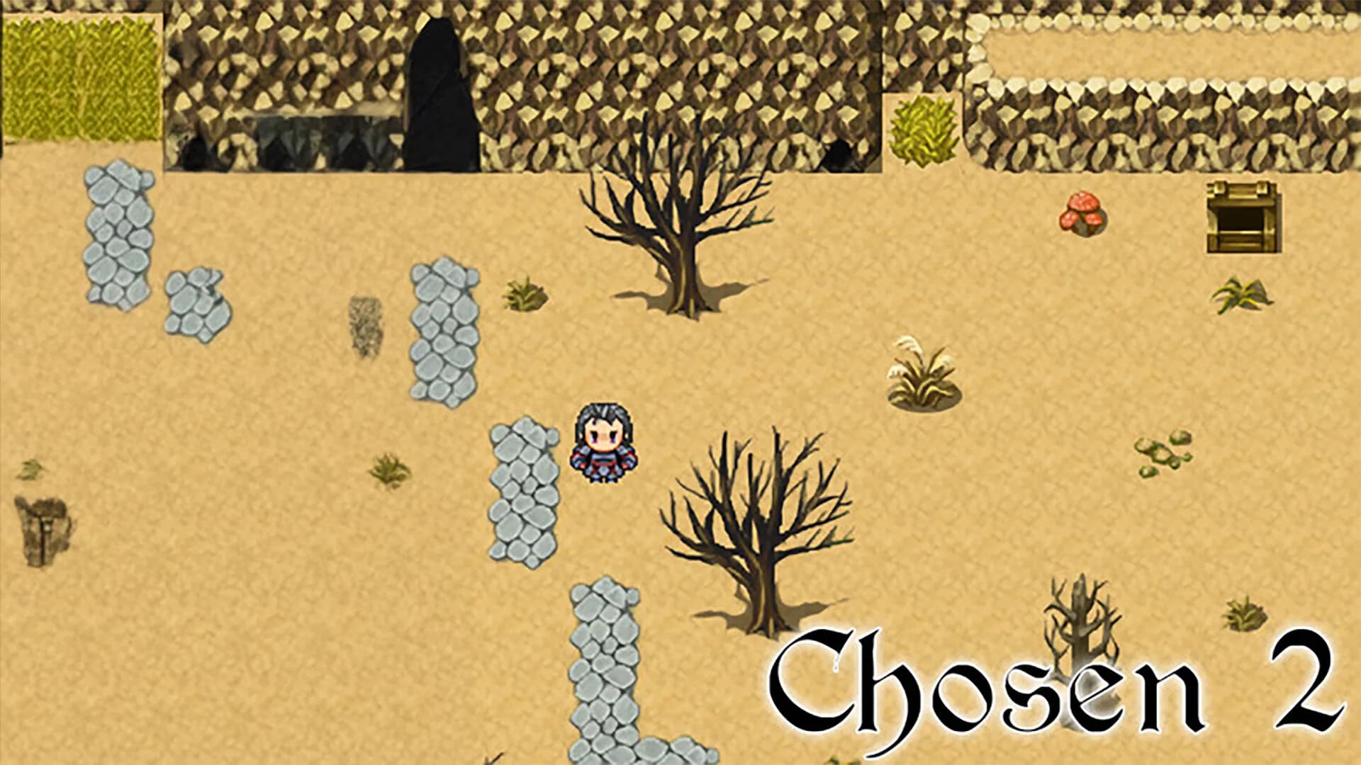 Chosen 2 görsel 2