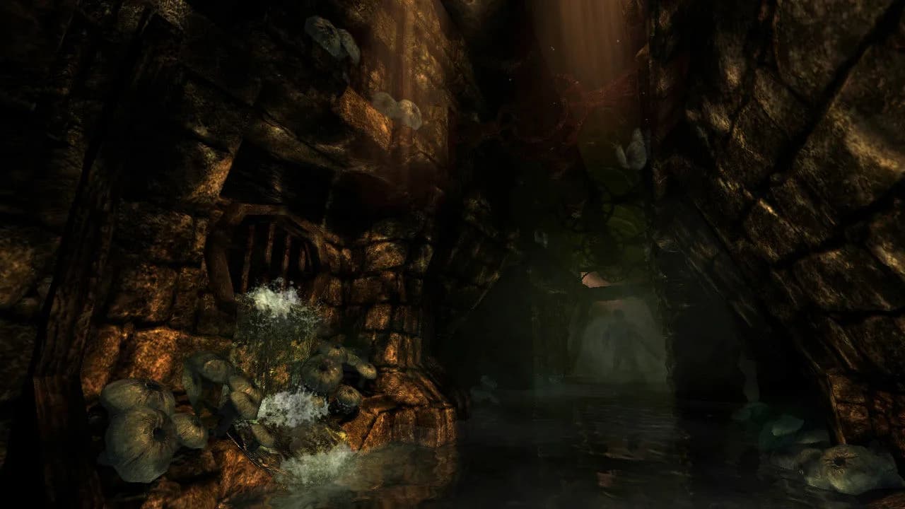 Amnesia: The Dark Descent görsel 6