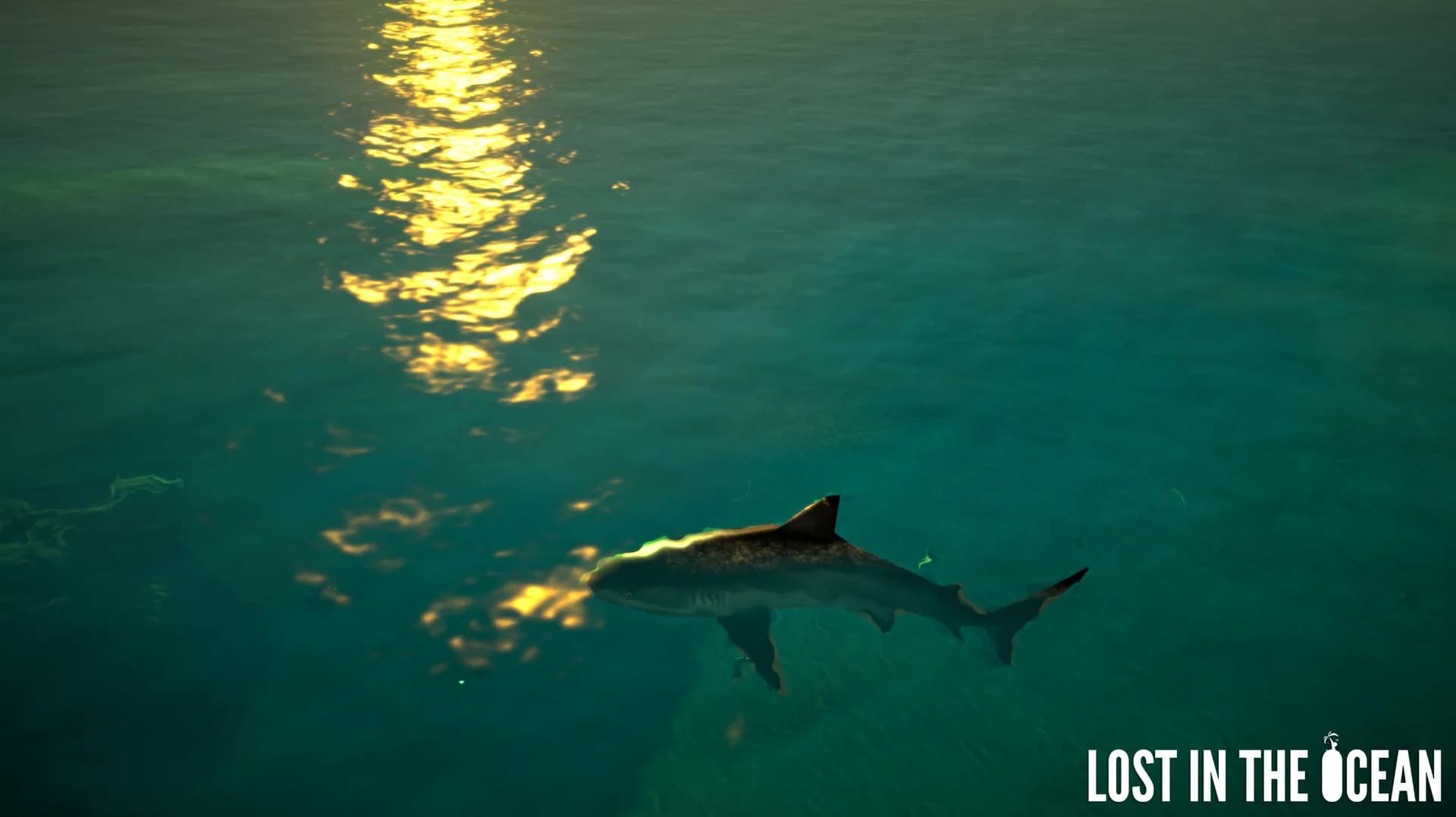 Lost in the Ocean VR görsel 4