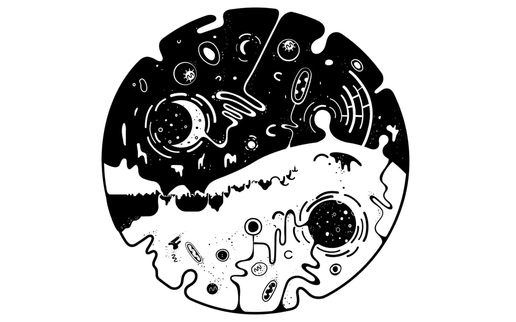 OVIVO görsel 3