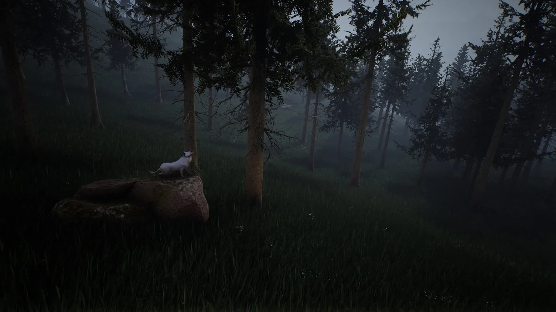 Survivalizm - The Animal Simulator görsel 2