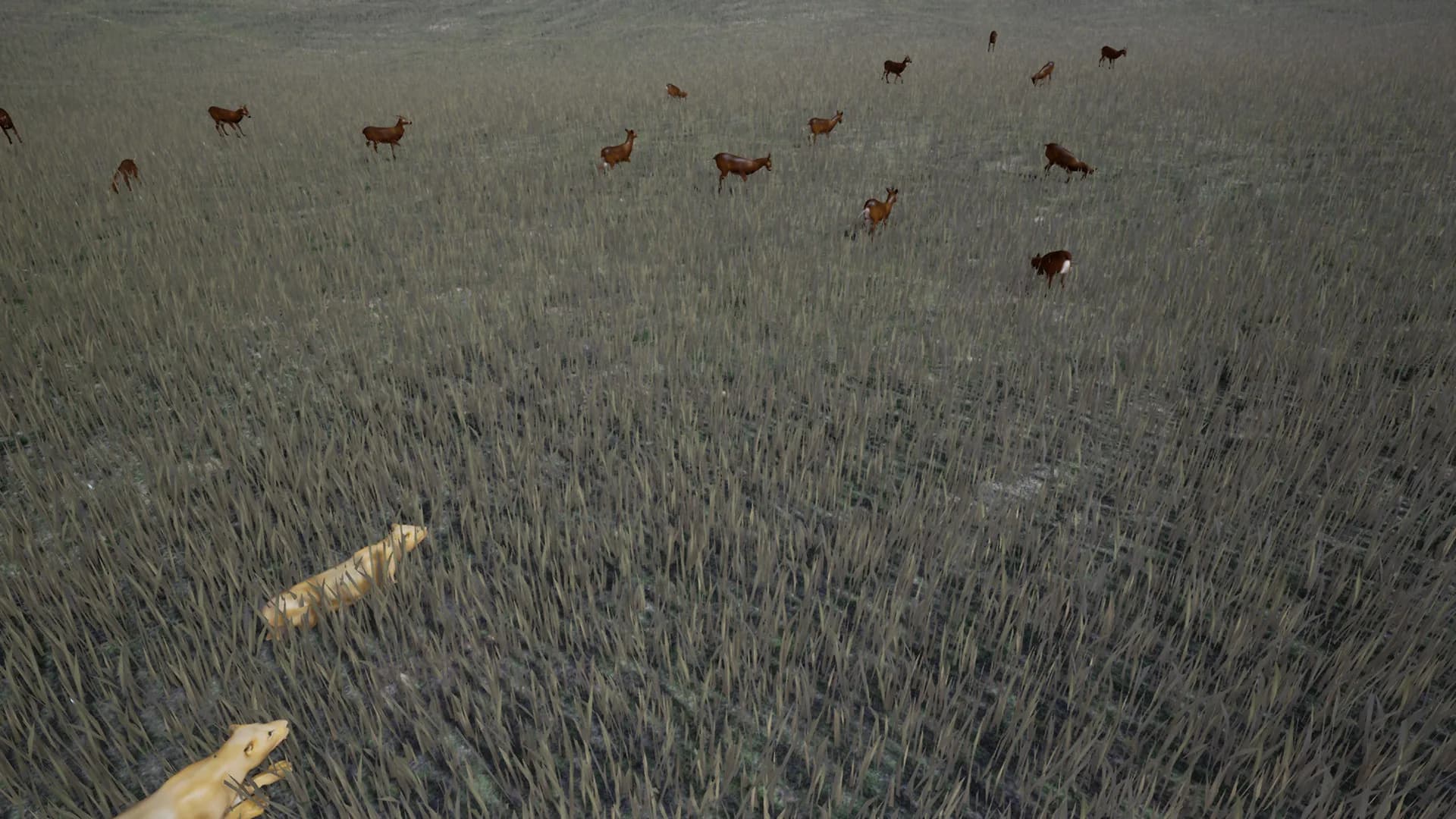 Survivalizm - The Animal Simulator görsel 4