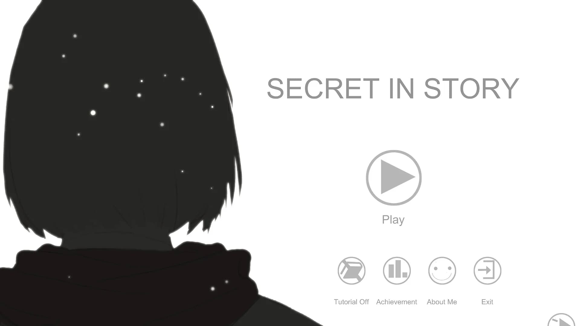 Secret in Story görsel 2