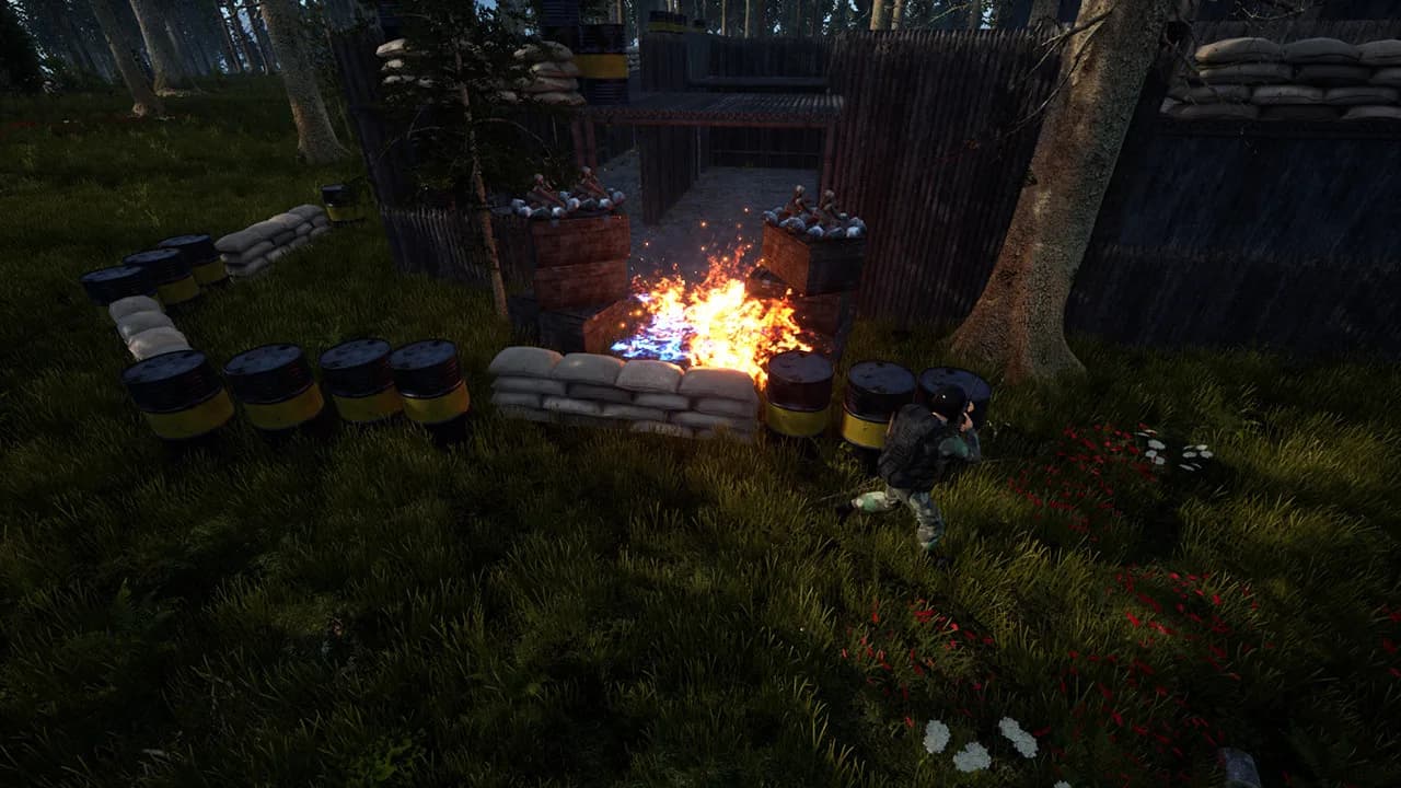 XERA: Survival görsel 8