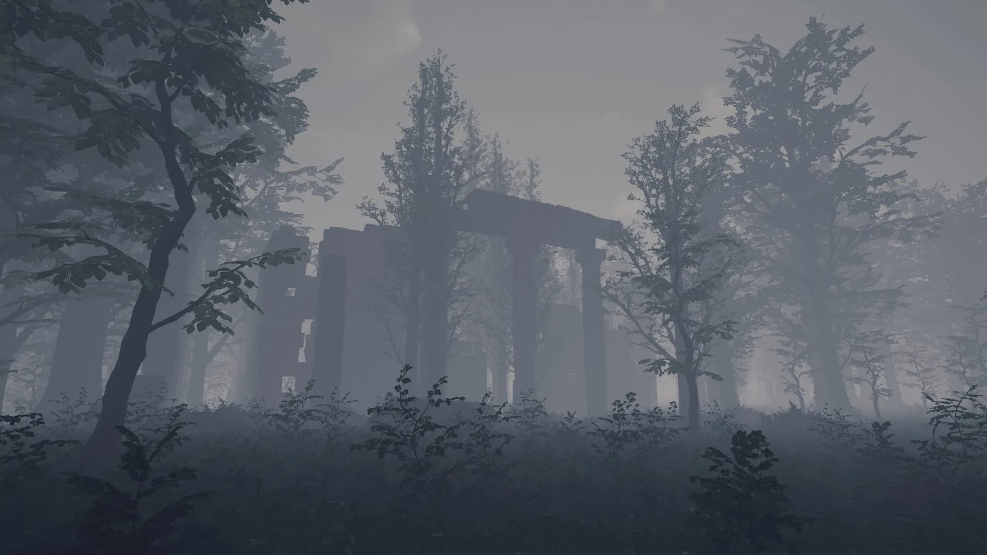 THORNYWAY görsel 18