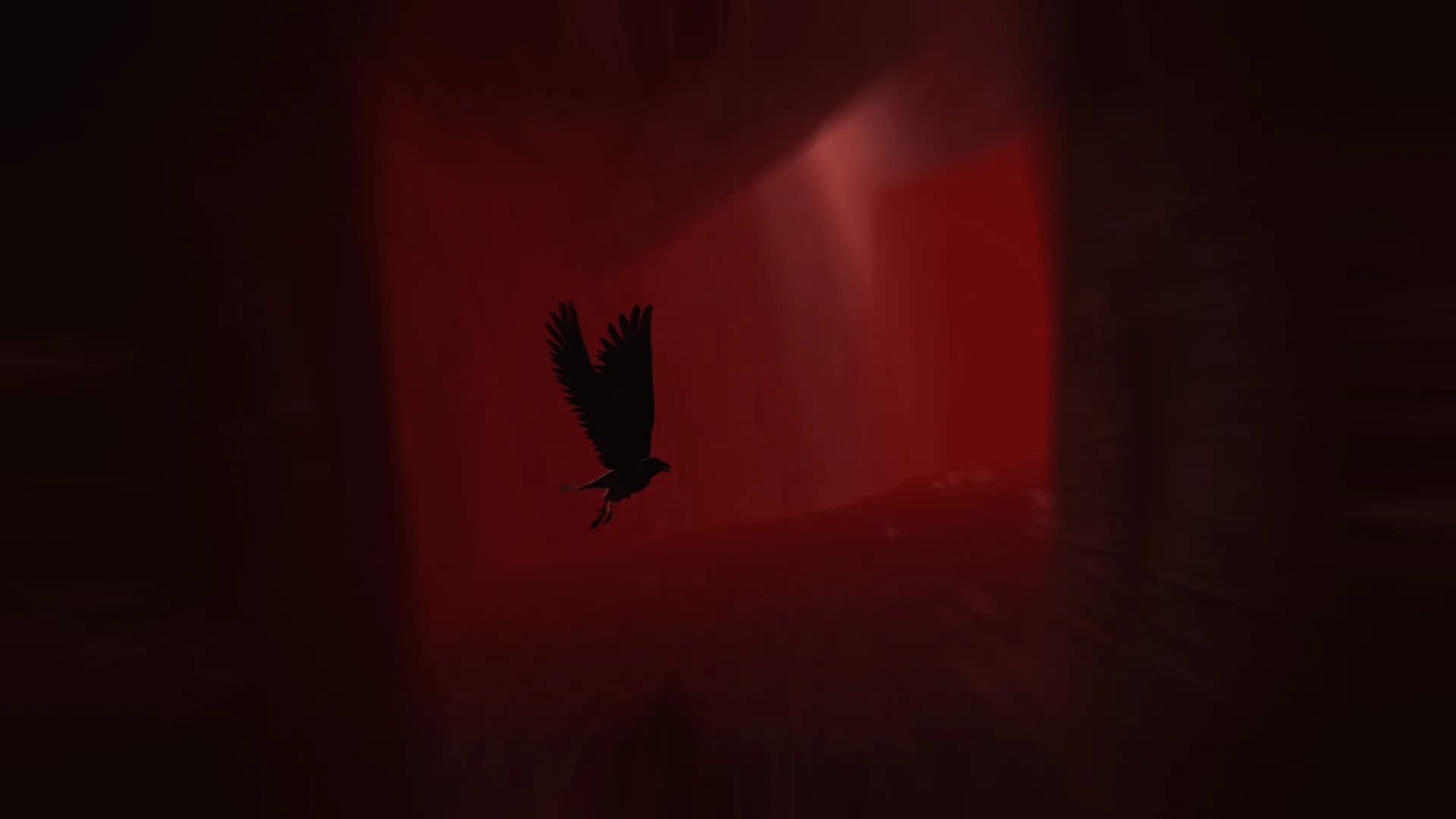 Rise of Insanity görsel 12