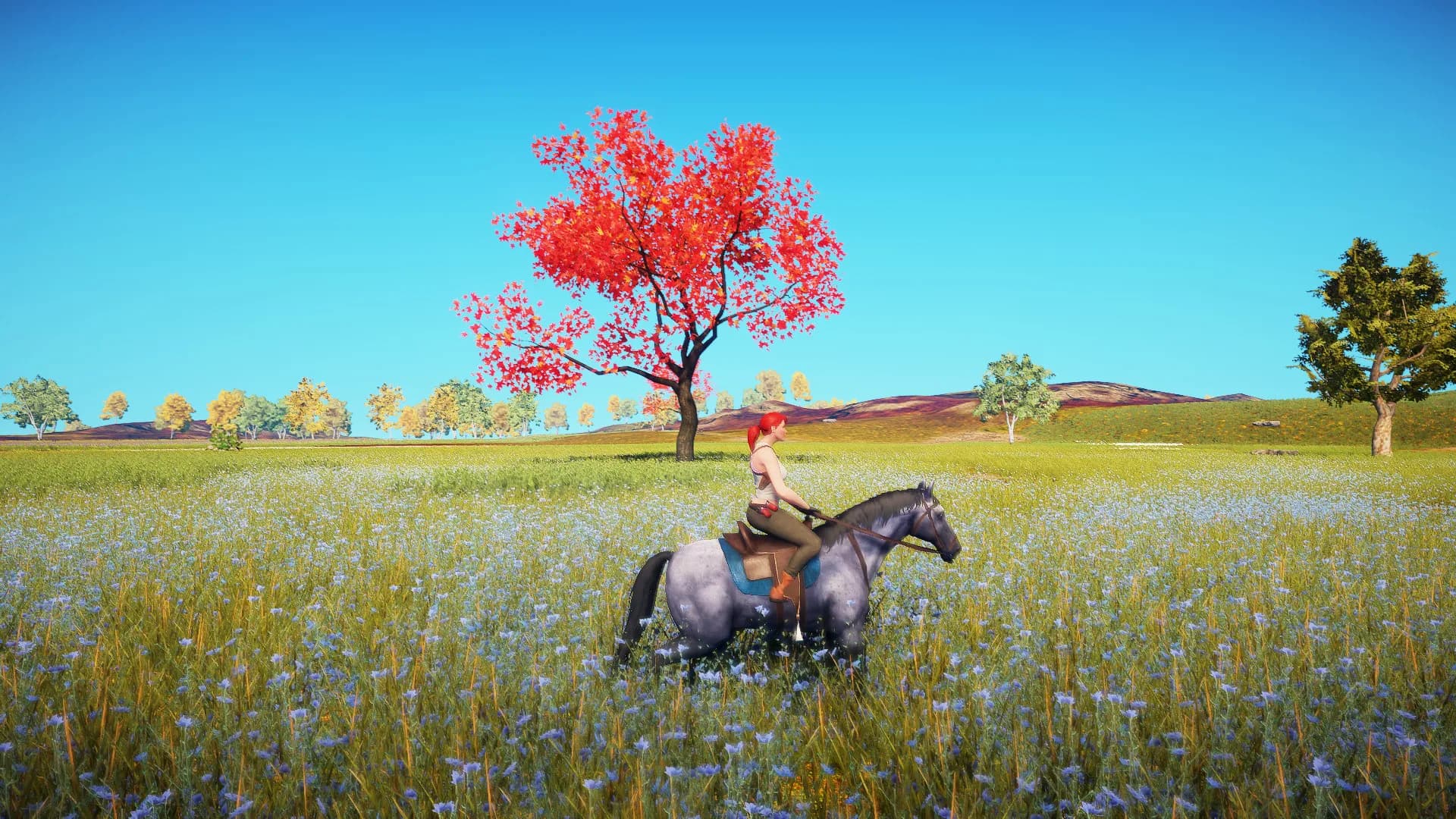 Animallica görsel 13