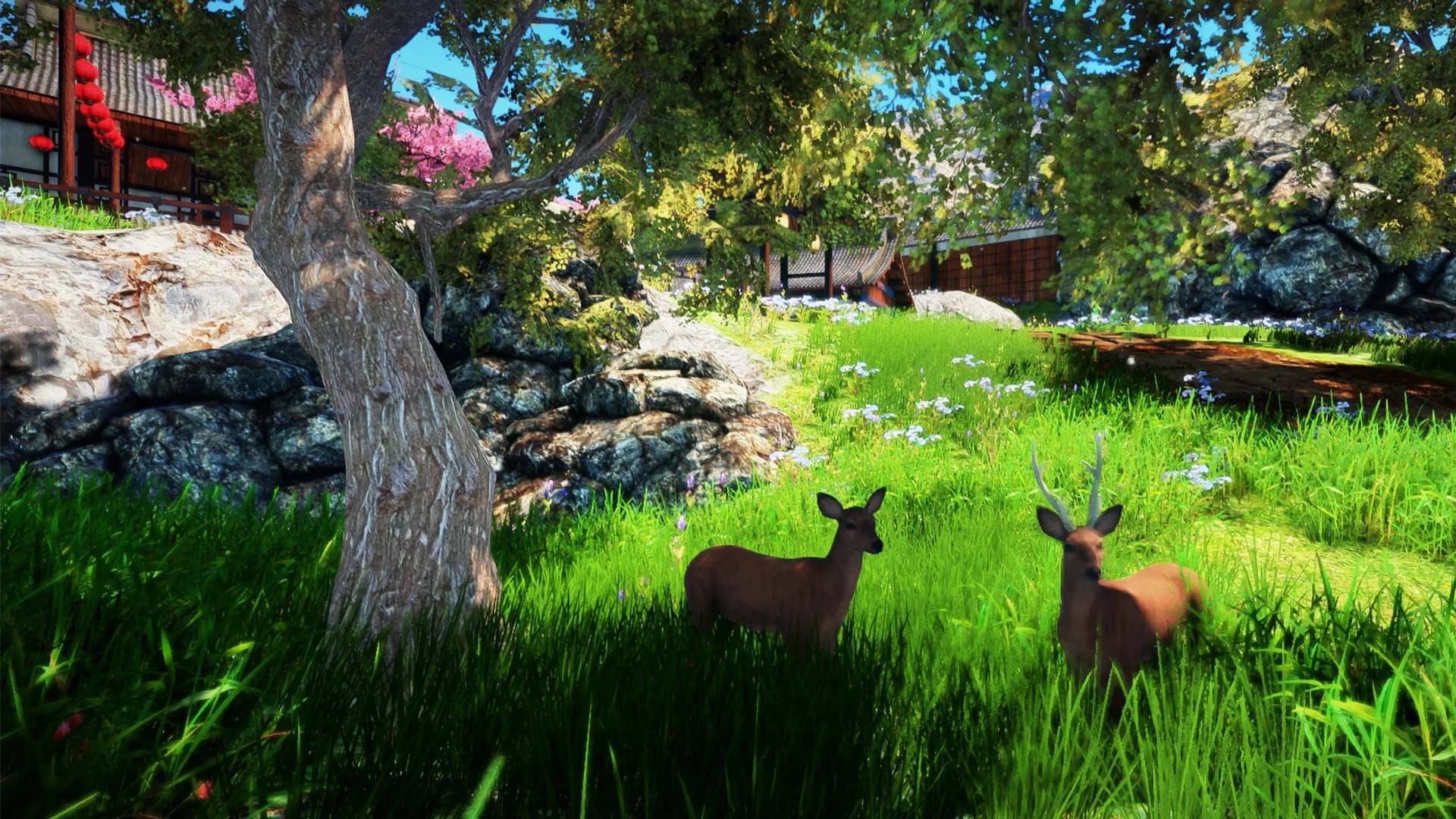 Animallica görsel 34