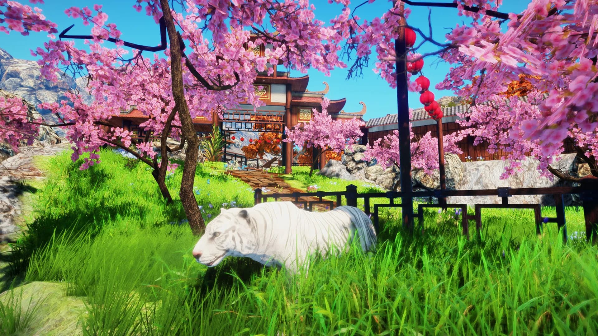 Animallica görsel 40