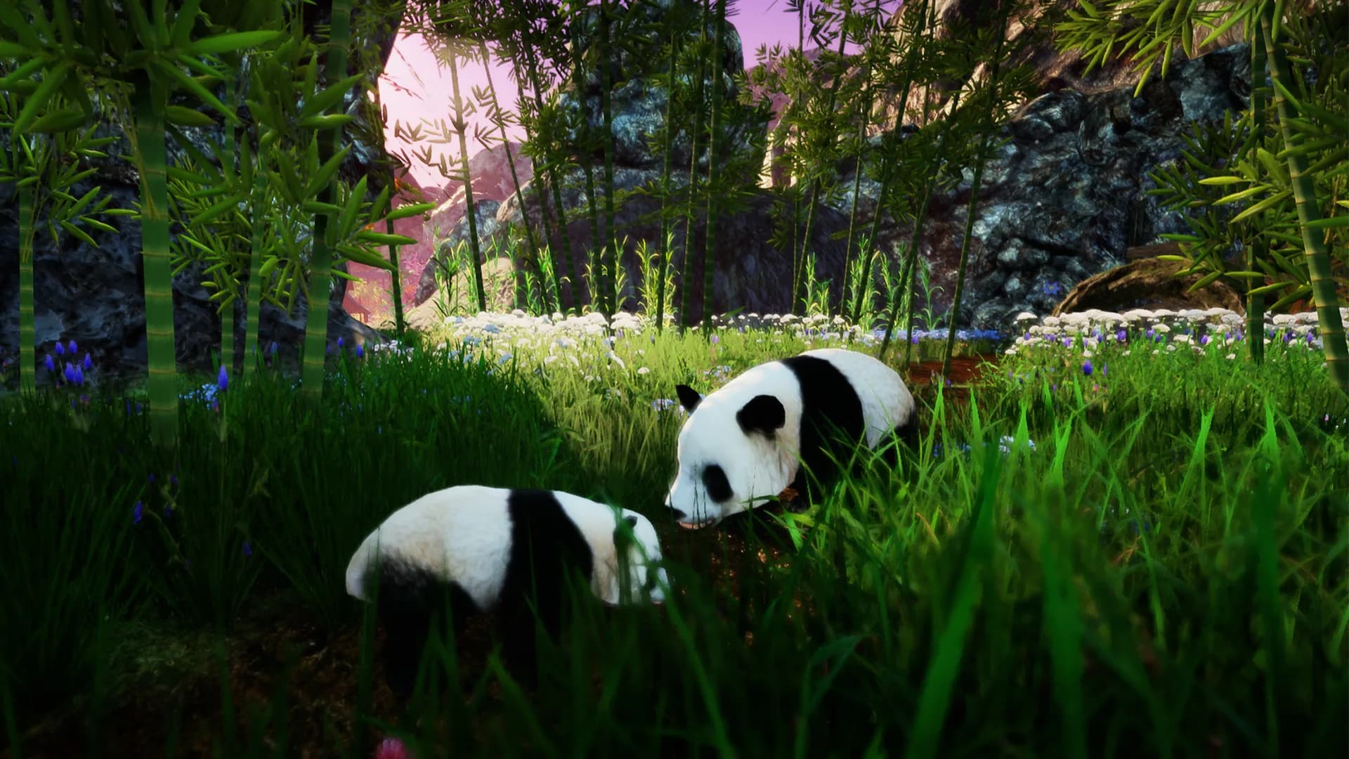 Animallica görsel 6