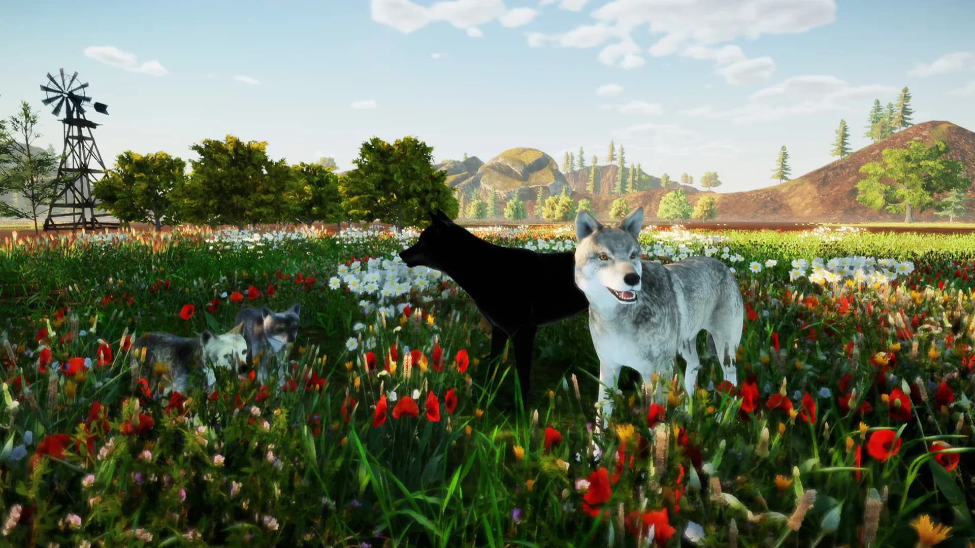 Animallica görsel 7