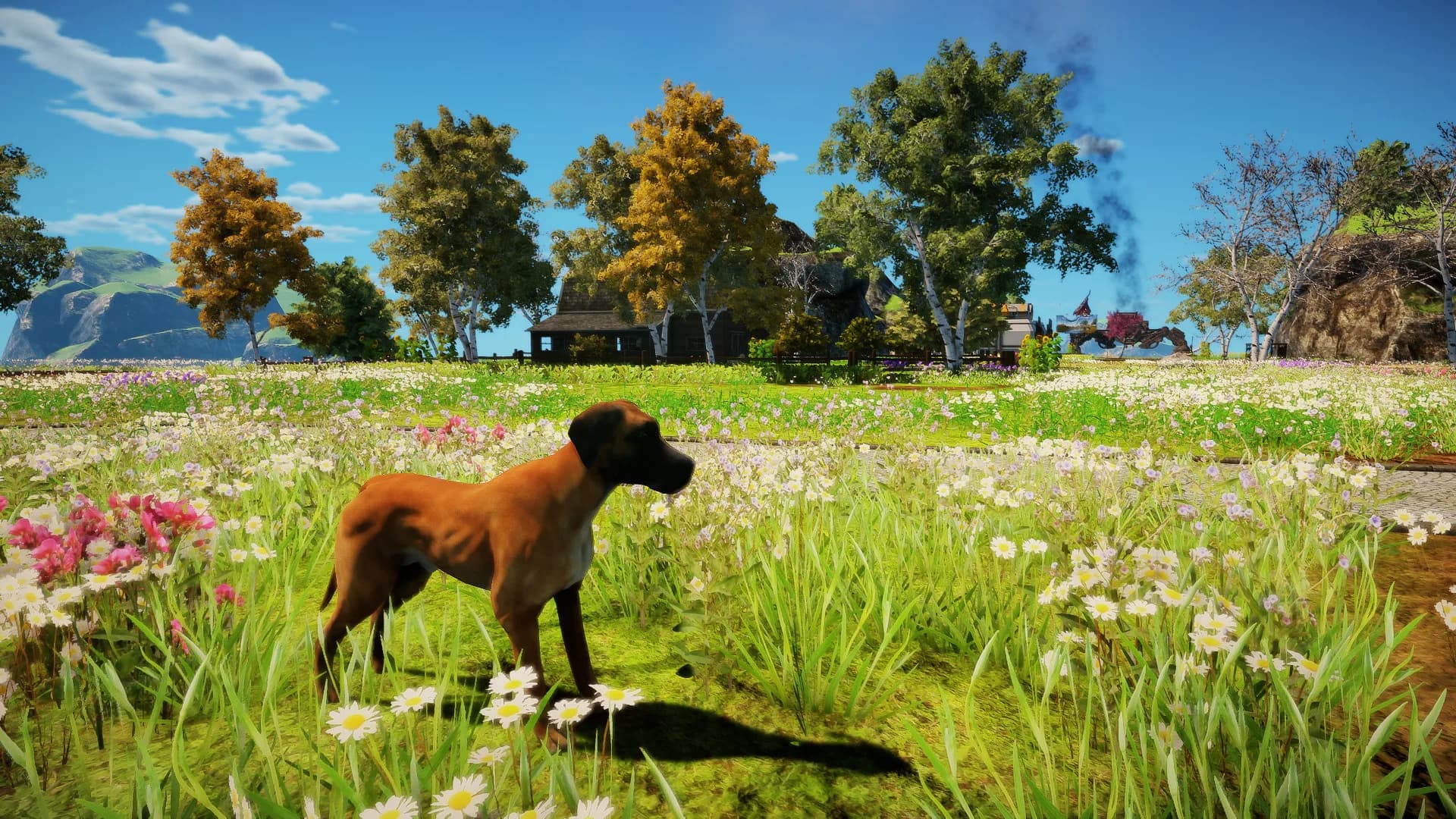 Animallica görsel 55