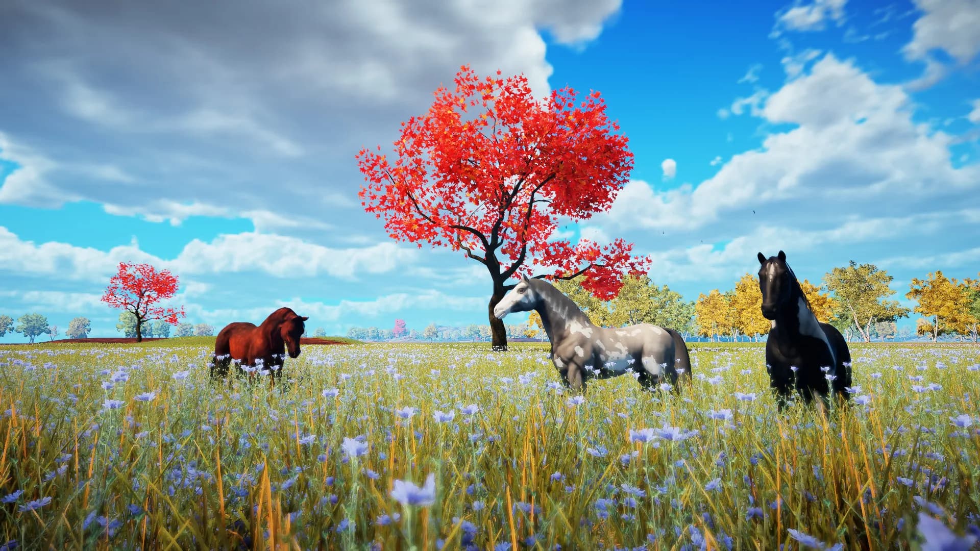 Animallica görsel 61