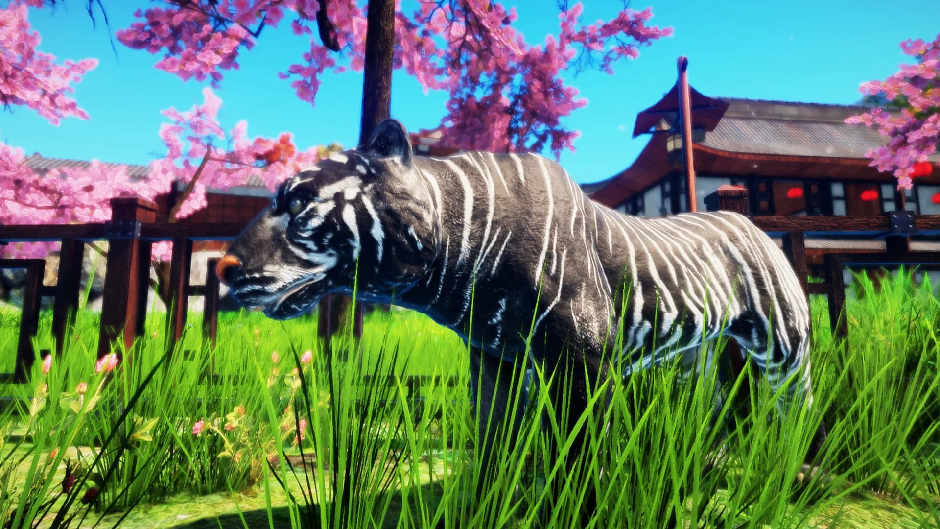 Animallica görsel 8