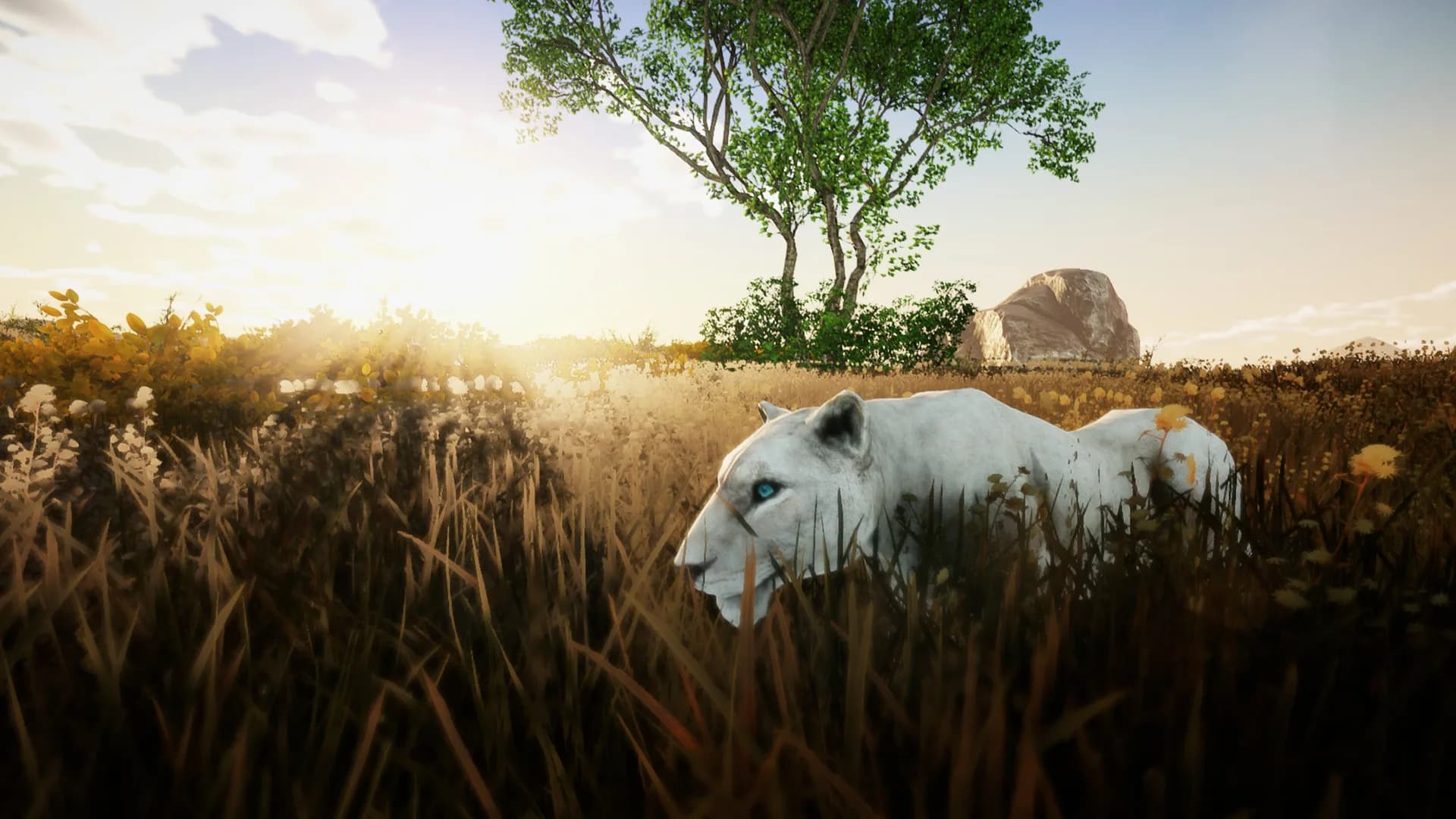 Animallica görsel 9