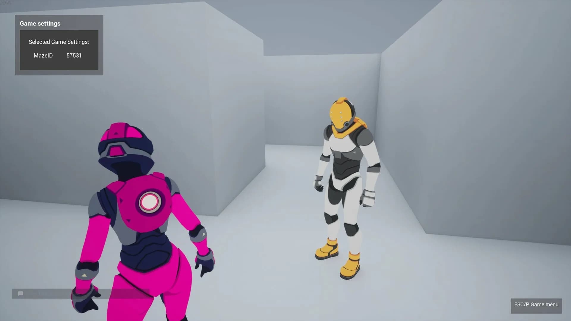 PROJECT MAZE görsel 7