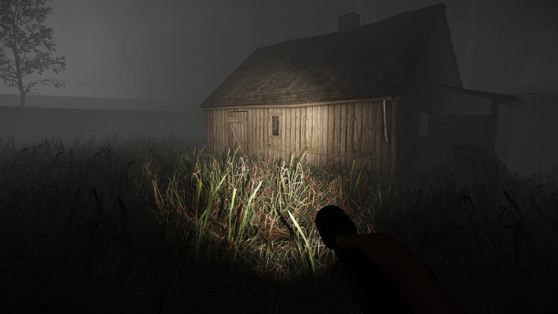 Room 54 görsel 6