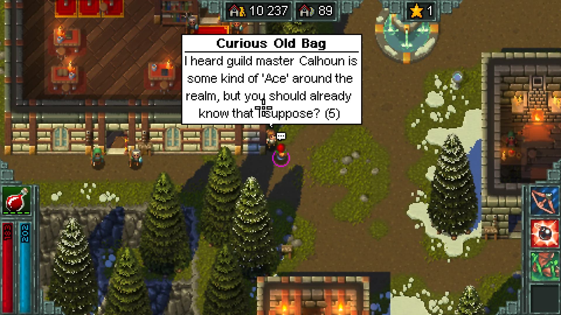 Heroes of Hammerwatch görsel 7