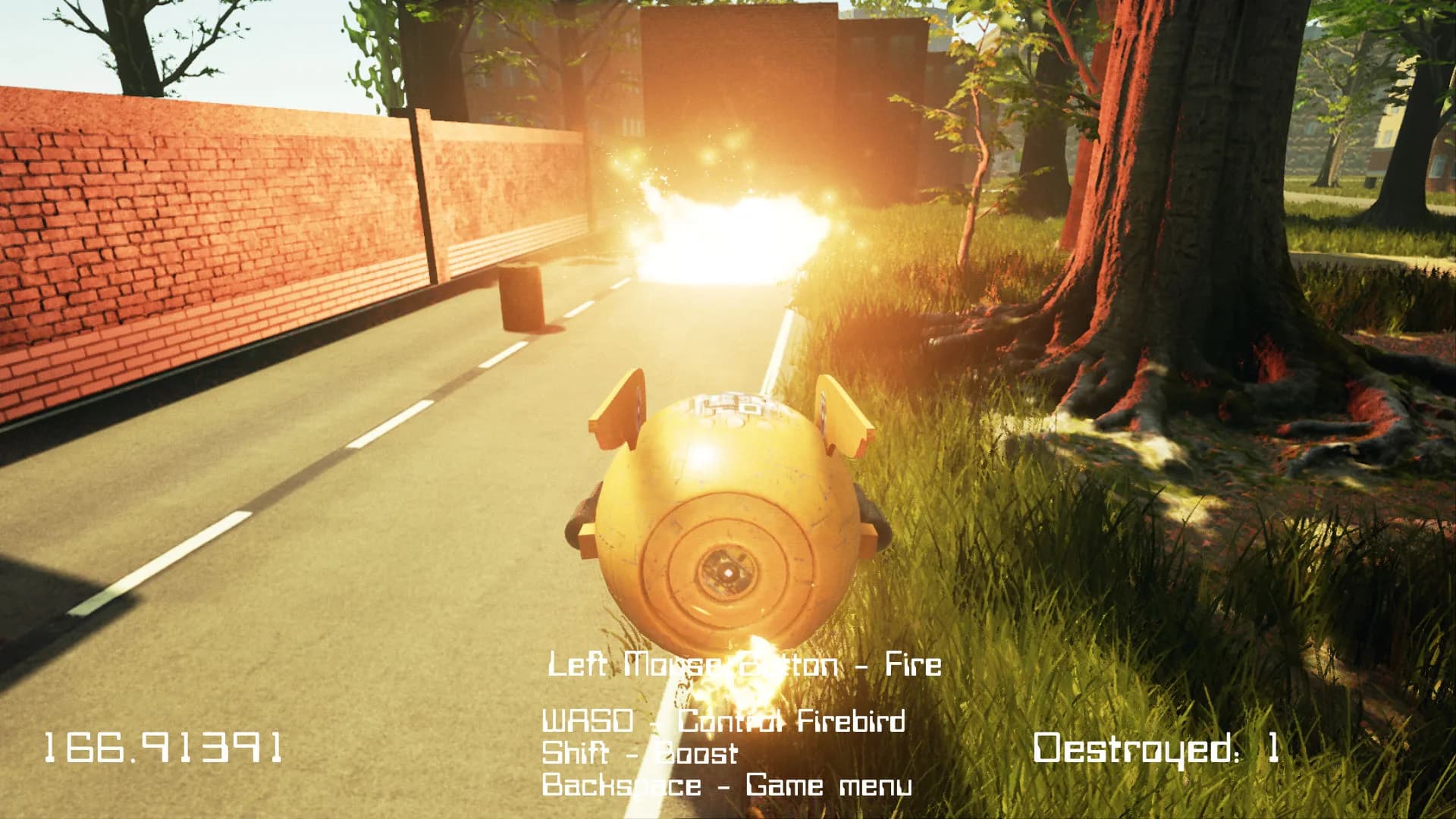 FreeFly Burning görsel 3