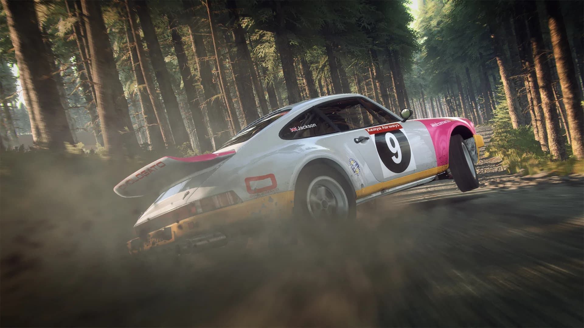 DiRT Rally 2.0 görsel 3