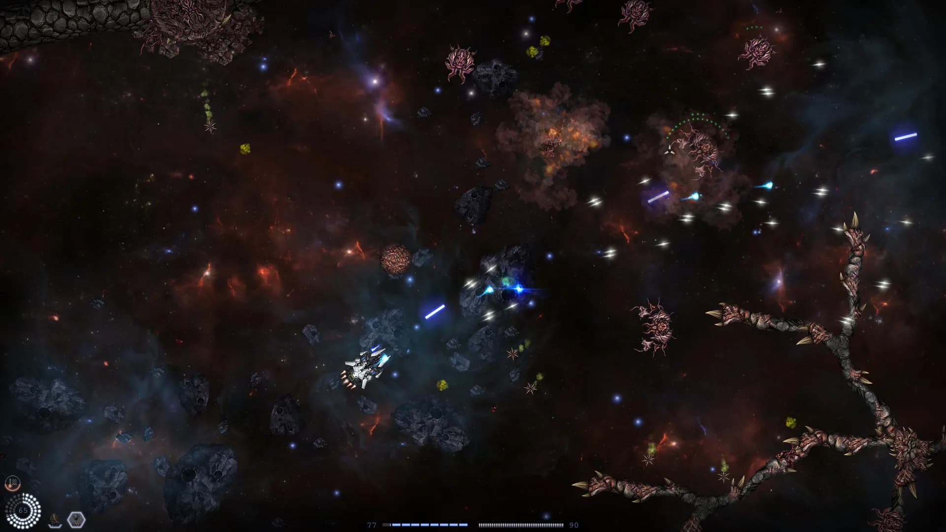 STELLATUM görsel 12