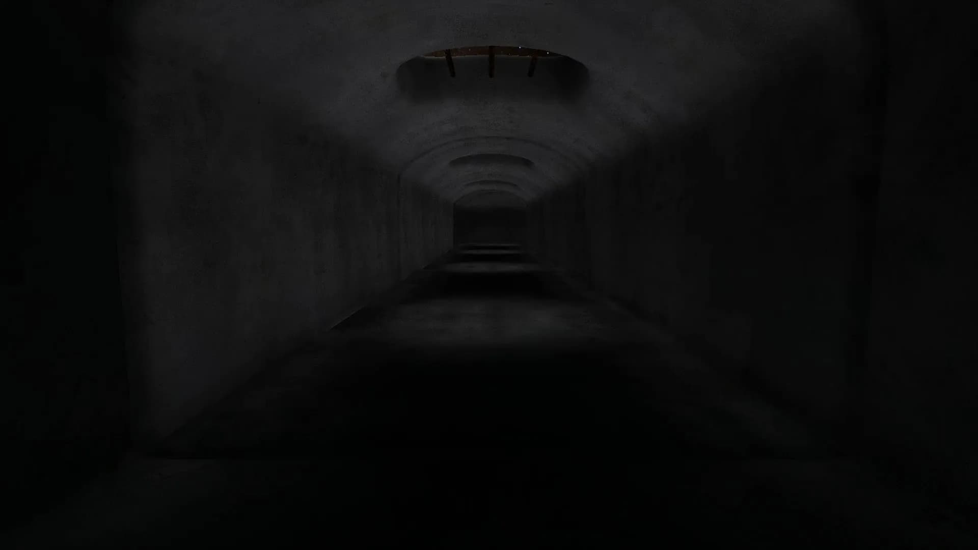 Labyrinthian görsel 2