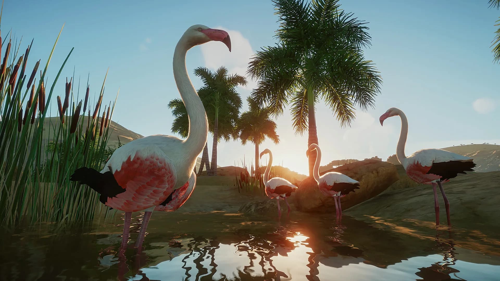 Planet Zoo görsel 24