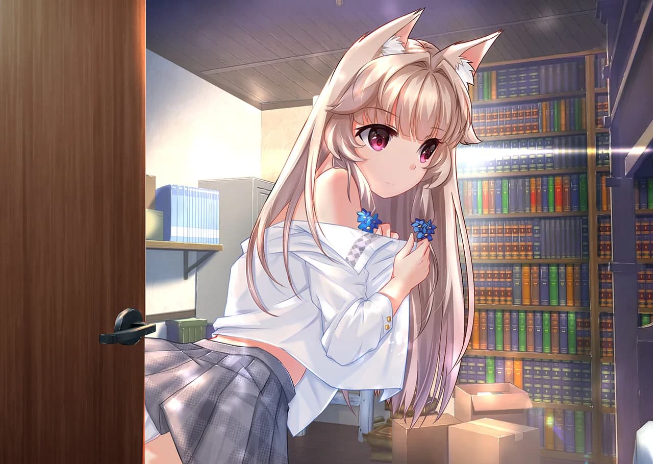 Fox Hime görsel 5