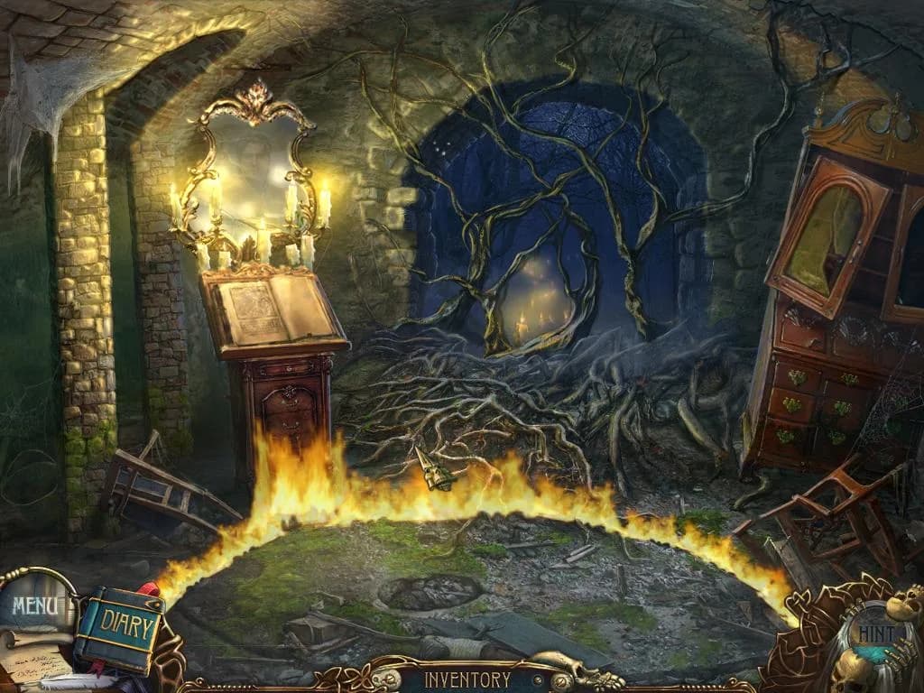 Azada® : In Libro Collector's Edition görsel 5