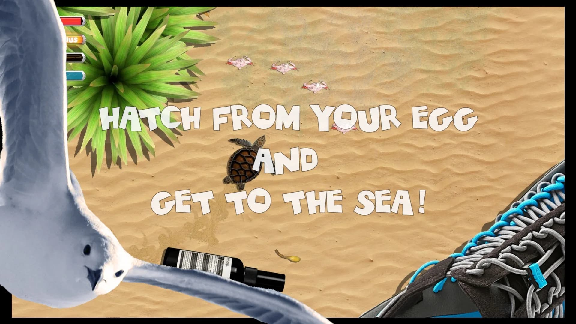 Turtle Quest görsel 3