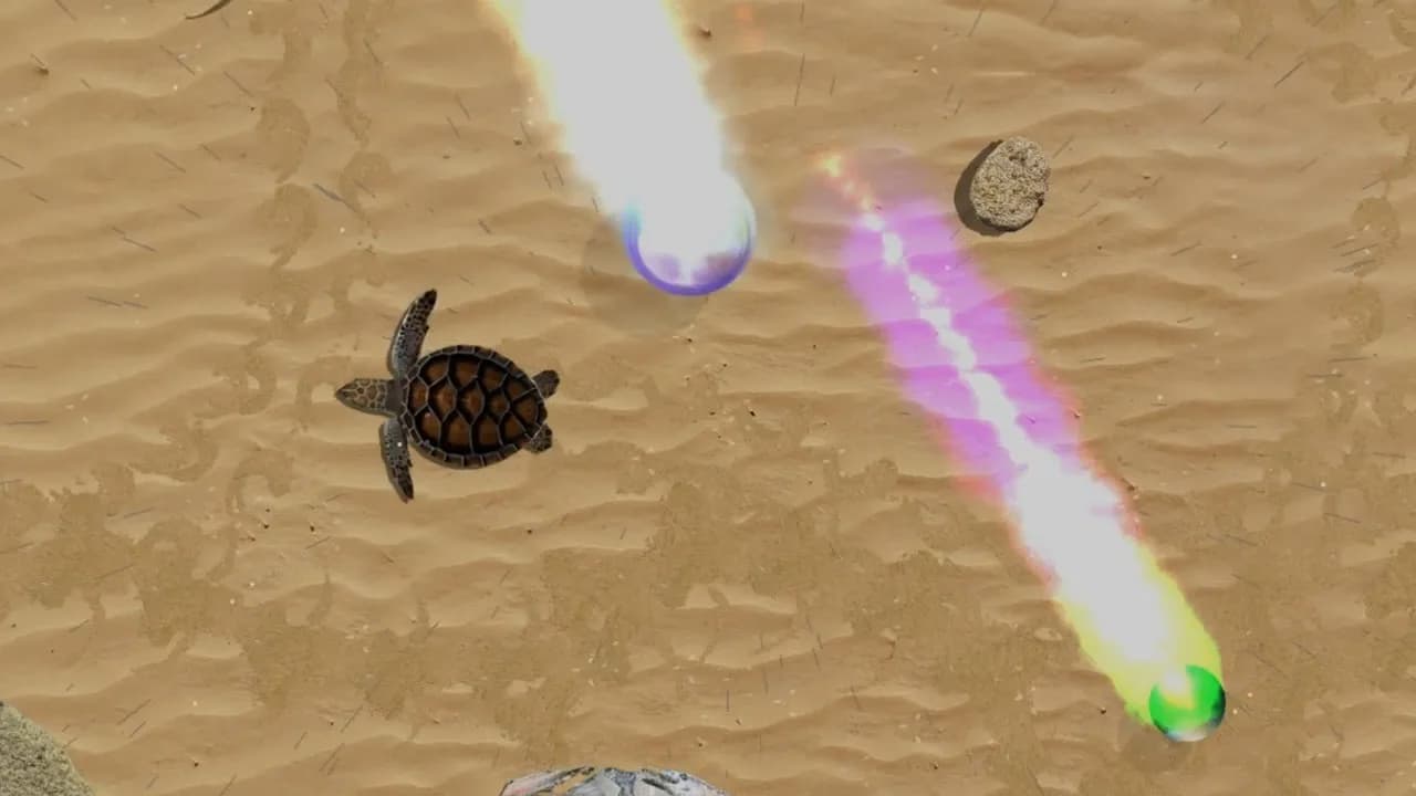 Turtle Quest görsel 6