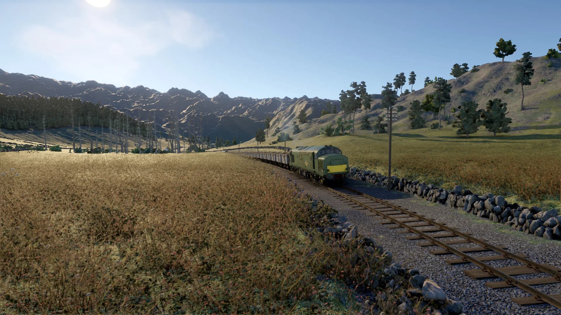 Diesel Railcar Simulator görsel 11