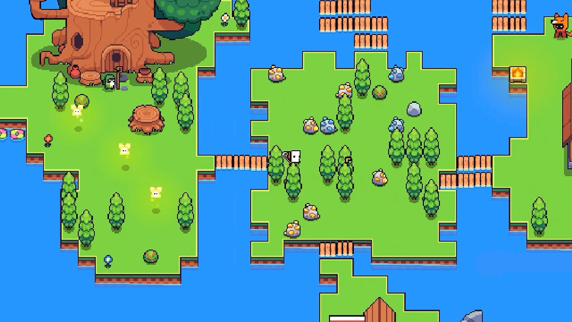 Forager görsel 2