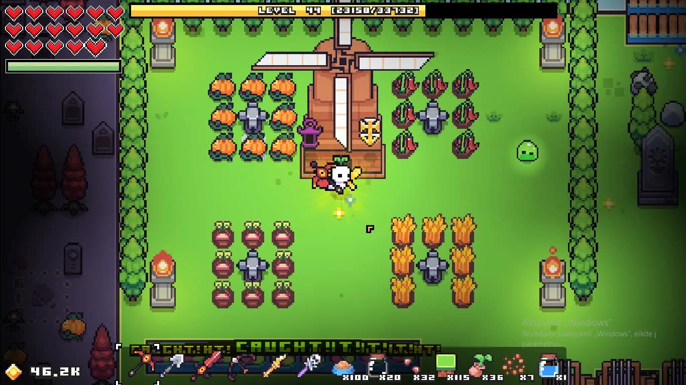 Forager görsel 3