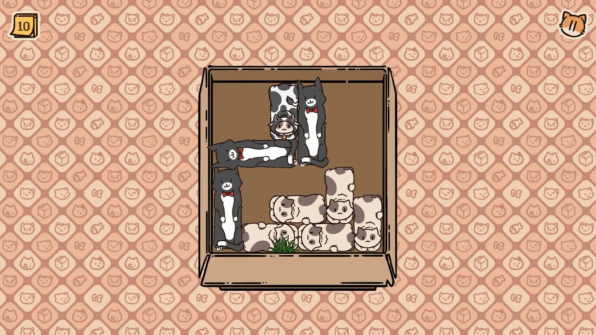 Box Cats Puzzle görsel 9