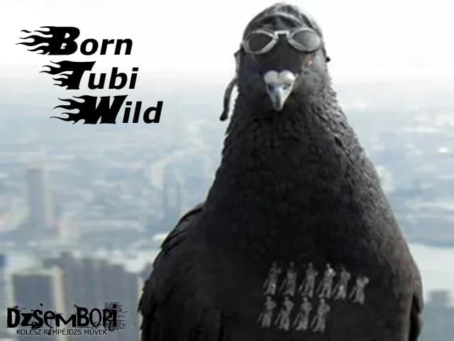 Born Tubi Wild görsel 5