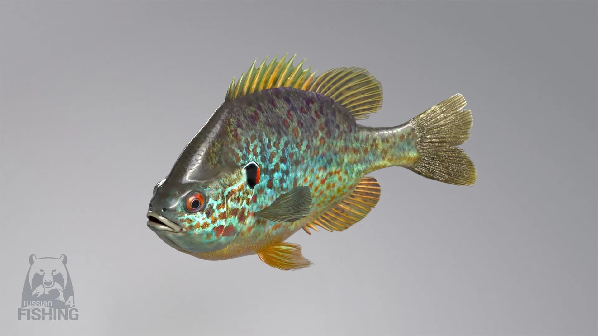 Russian Fishing 4 görsel 13