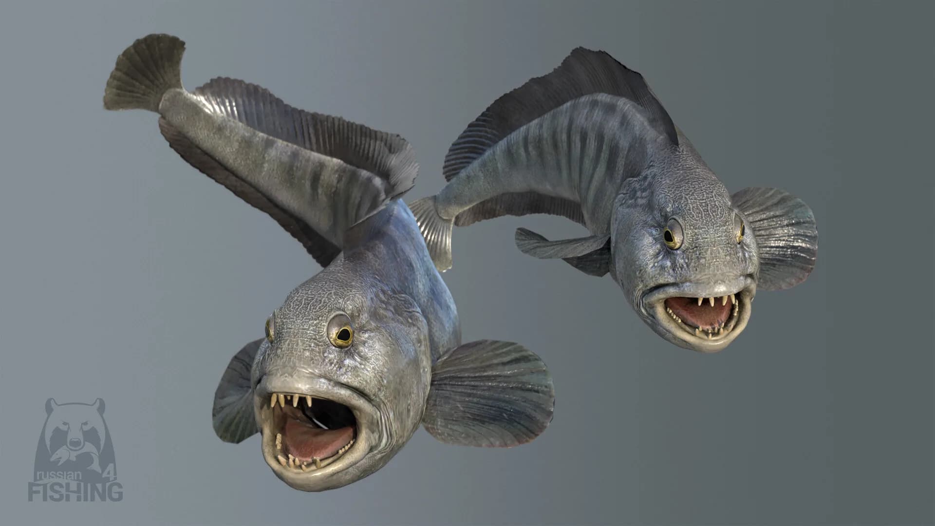Russian Fishing 4 görsel 6