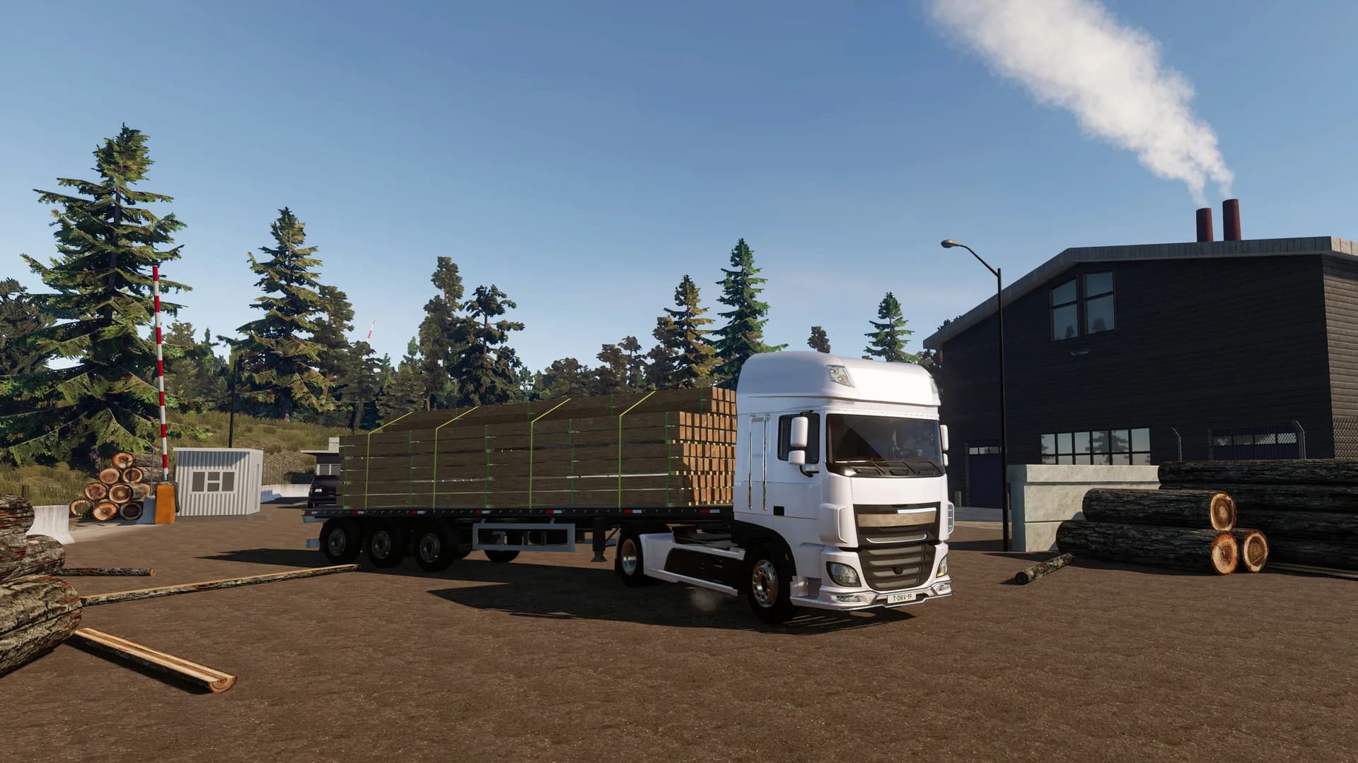 Truck Driver görsel 2