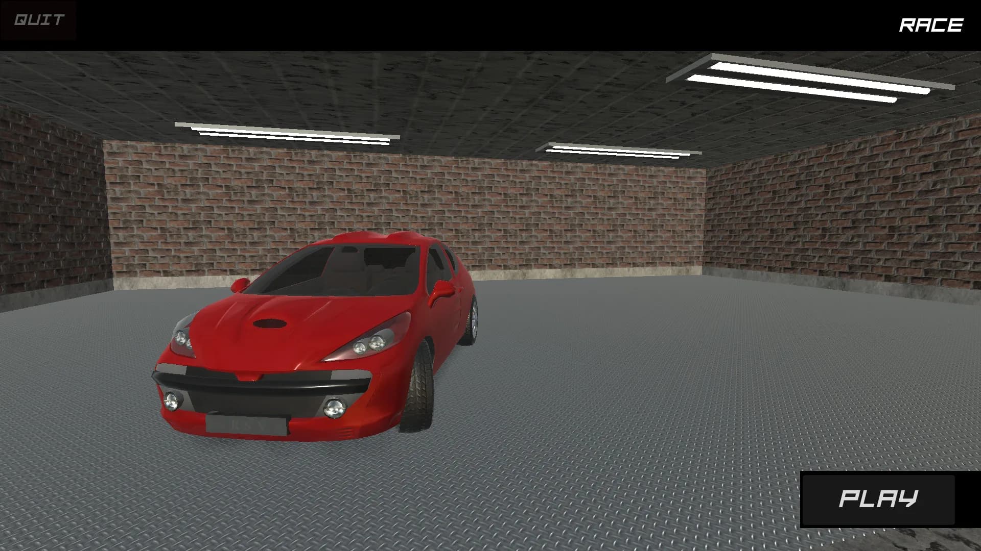 Race görsel 2