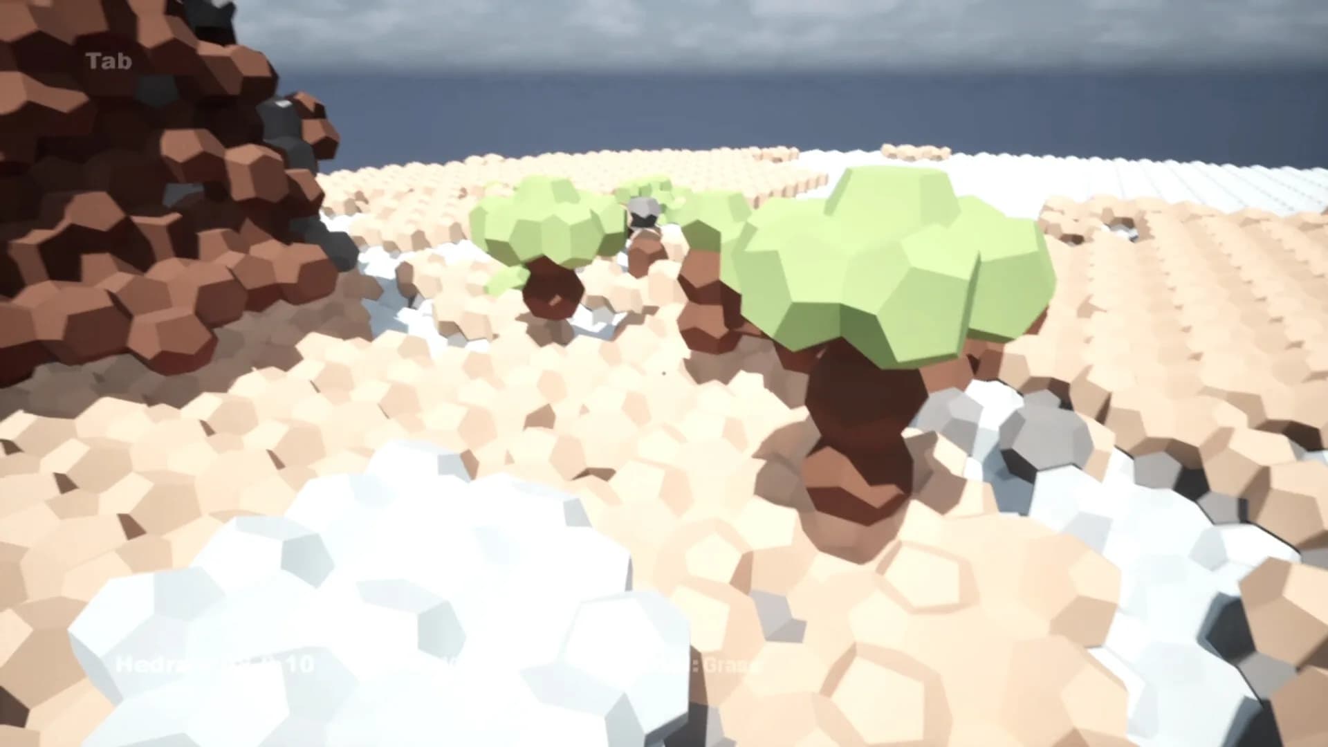 Hedra görsel 4