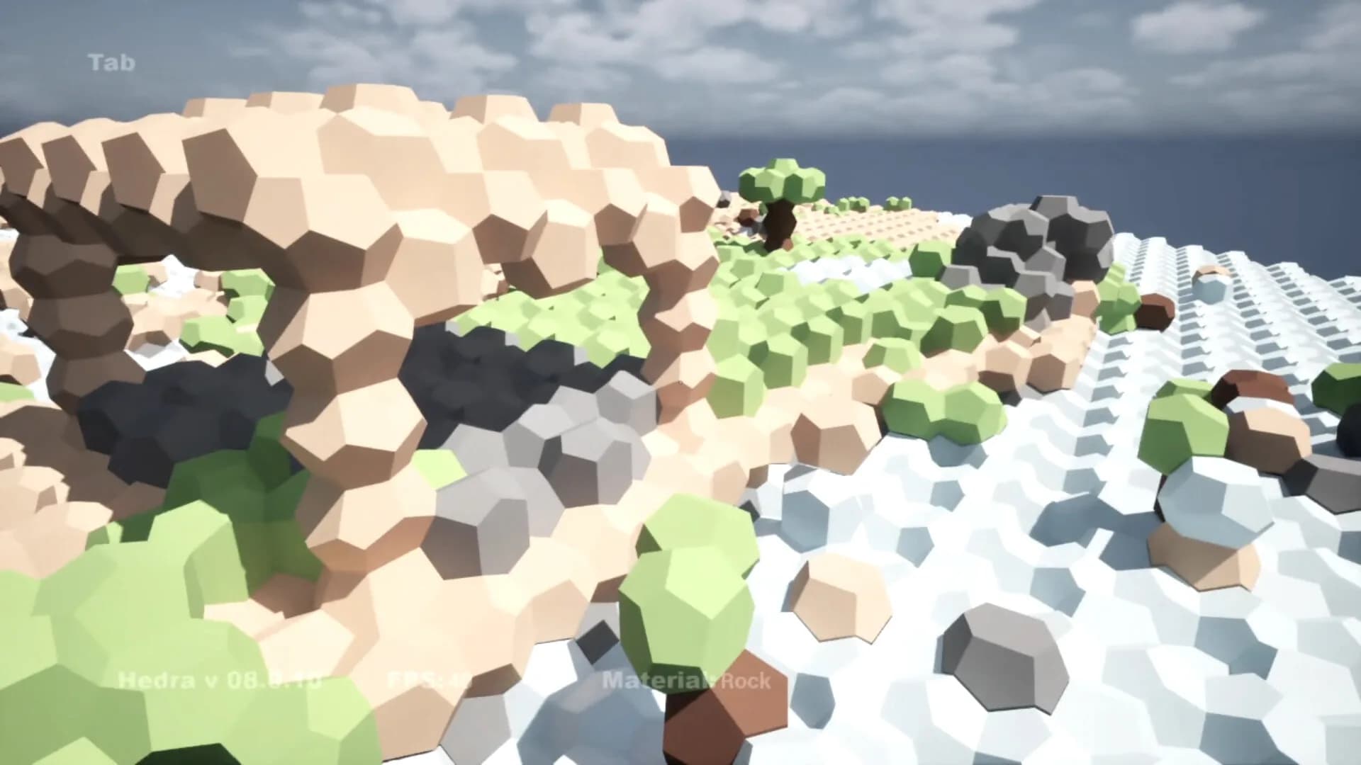 Hedra görsel 8